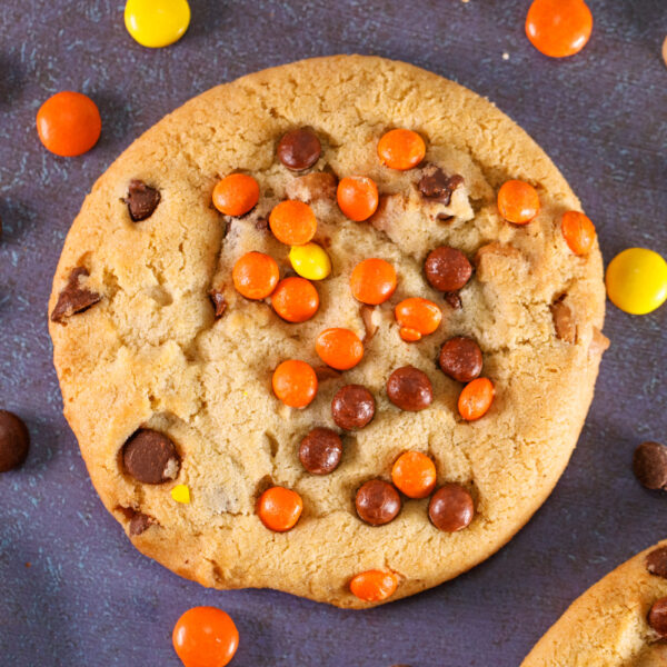 DAVID'S PEANUT BUTTER CHOCOLATE CHIP DECADENT COOKIE DOUGH