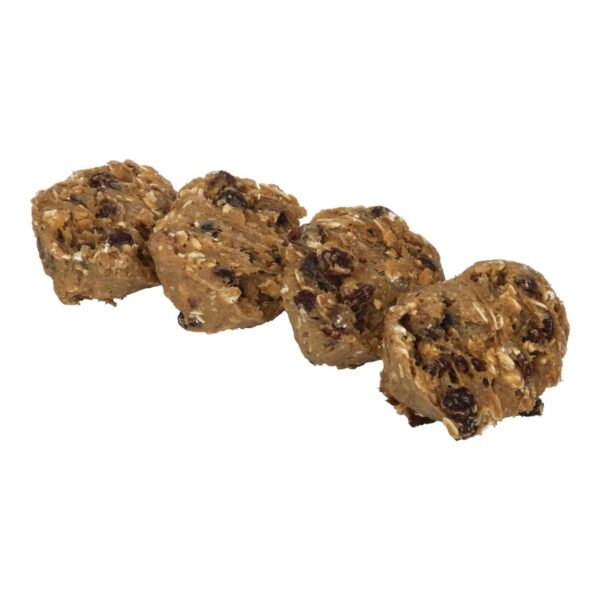 OTIS SPUNKMEYER SUPREME OATMEAL COOKIE