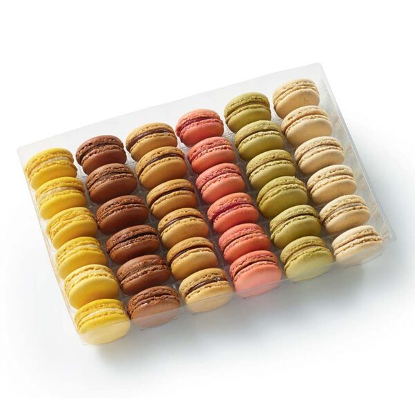 TRAITEUR DE PARIS ASSORTED MINI FRENCH MACAROONS